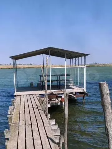 Дом 50 м на участке 23 сот. - Фото 0