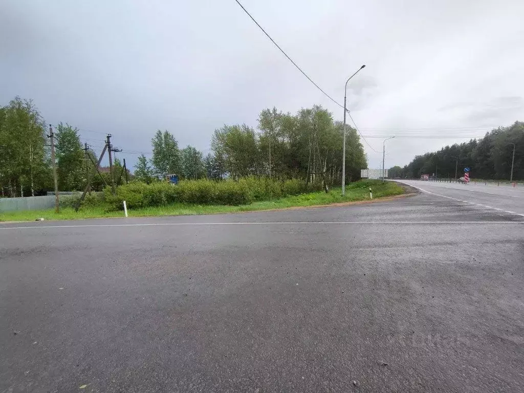 Участок в Ярославская область, Тутаевский муниципальный округ, пос. ... - Фото 1