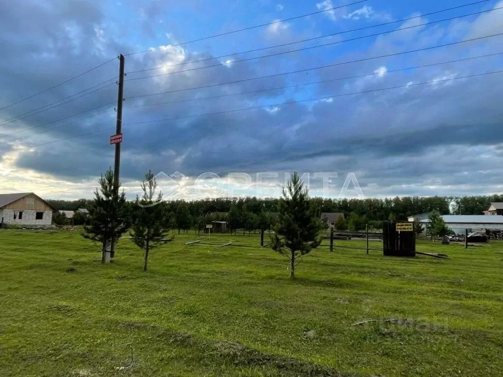 Участок в Тюменская область, Тюменский муниципальный округ, с. Успенка ... - Фото 1