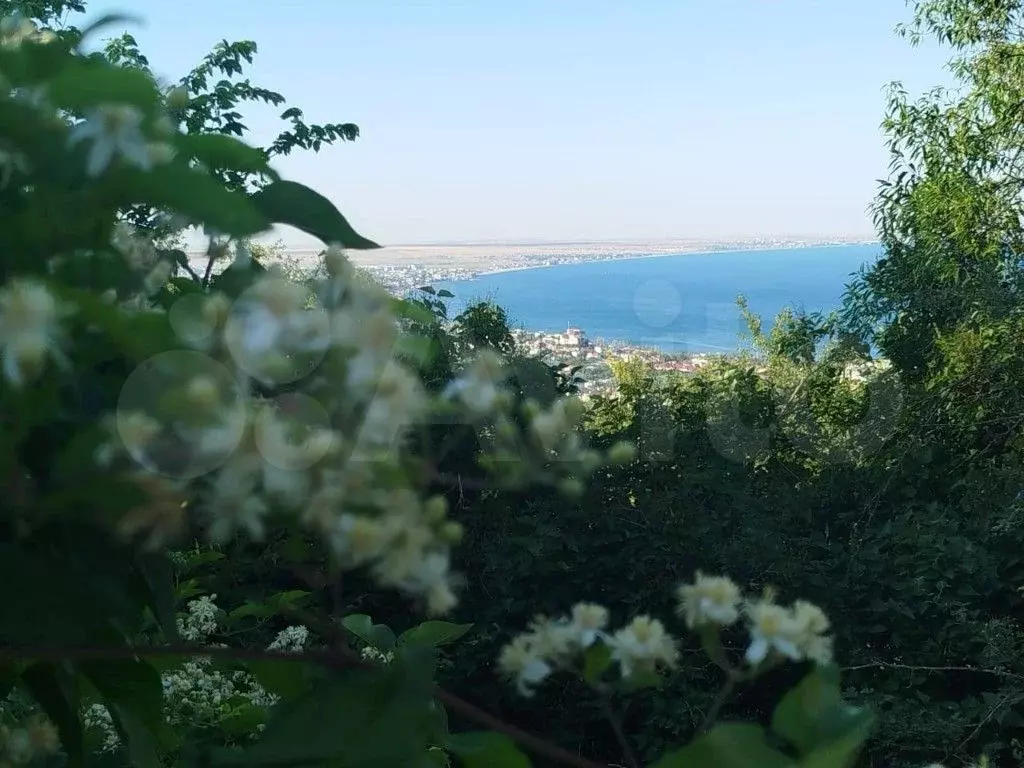 Участок 5 сот. (СНТ, ДНП) - Фото 0
