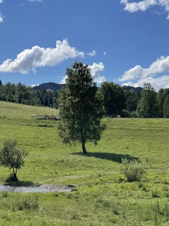 Производственное помещение в Алтай, Майминский район, с. Александровка ... - Фото 2