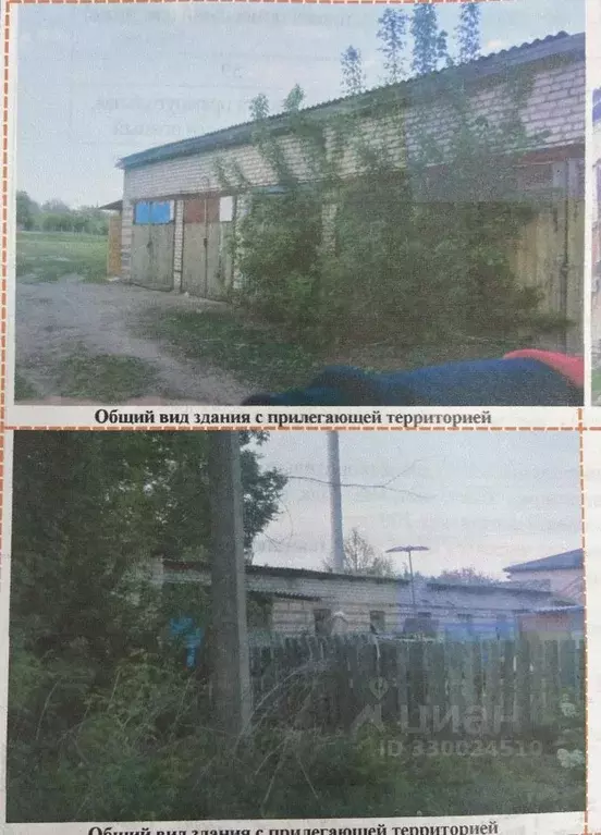 Помещение свободного назначения в Брянская область, Красная Гора рп ... - Фото 1