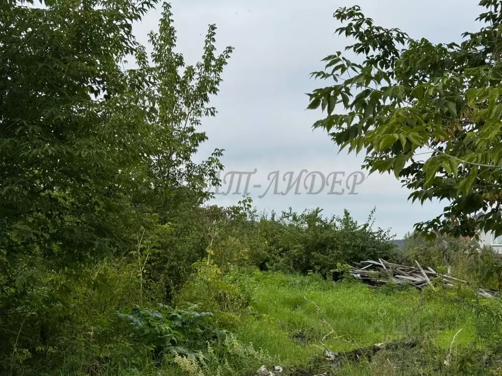 Участок в Алтай, Майминский район, с. Соузга Школьный пер. (13.0 сот.) - Фото 0