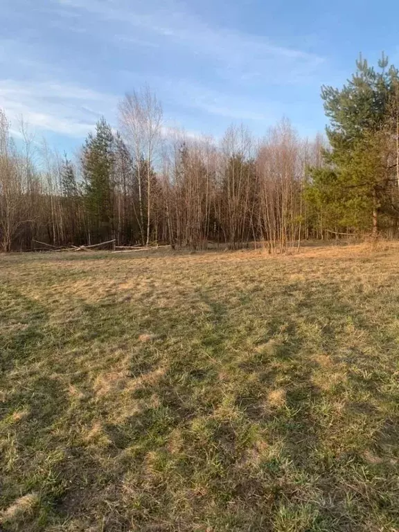 Участок в Ивановская область, Ивановский район, Богданихское с/пос, д. ... - Фото 1
