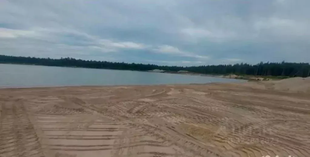 Участок в Ленинградская область, Выборгский район, Первомайское с/пос, ... - Фото 2
