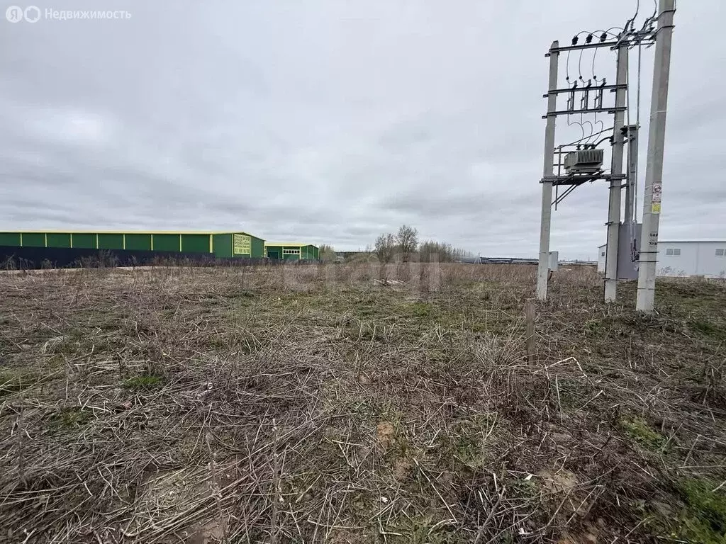Участок в Аннинское городское поселение, индустриальный парк Новоселье ... - Фото 2