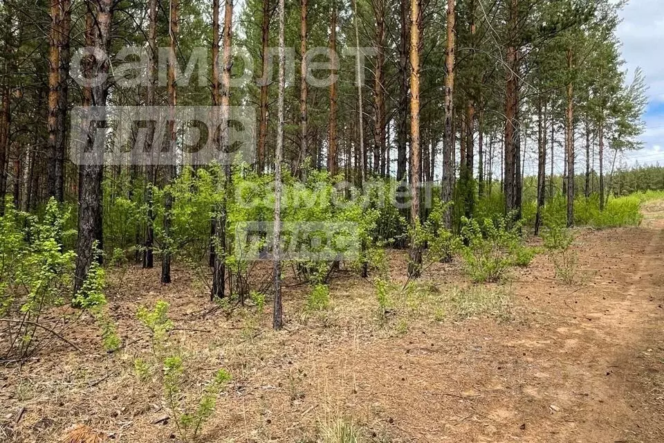 Участок в Забайкальский край, Читинский район, Атамановка пгт  (6.0 ... - Фото 0