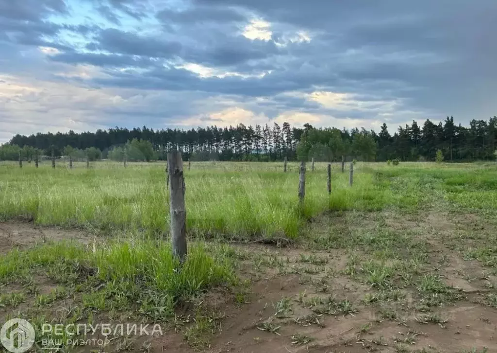 Участок в Красноярский край, Минусинский район, Селиванихинский ... - Фото 1