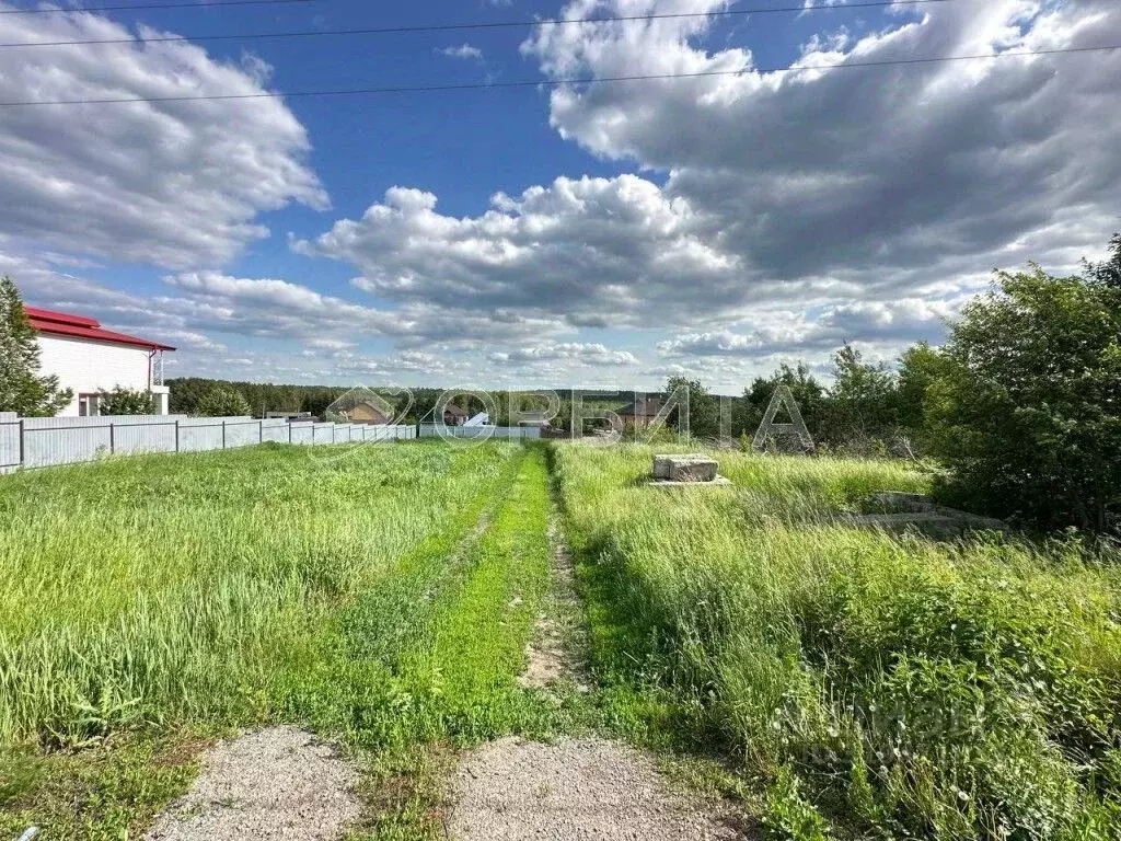 Участок в Тюменская область, Тюменский район, с. Кулига ул. ... - Фото 1