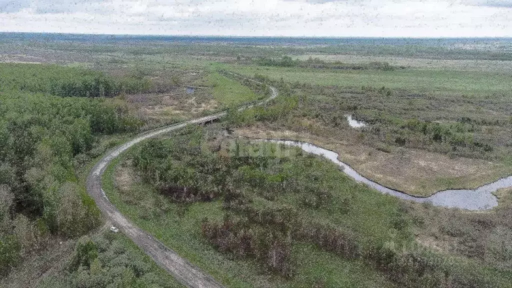 Участок в Тюменская область, Тюменский муниципальный округ, с. ... - Фото 0