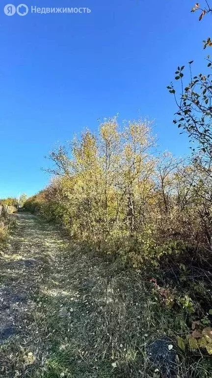 Участок в Пензенский район, Саловский сельсовет (6 м) - Фото 1