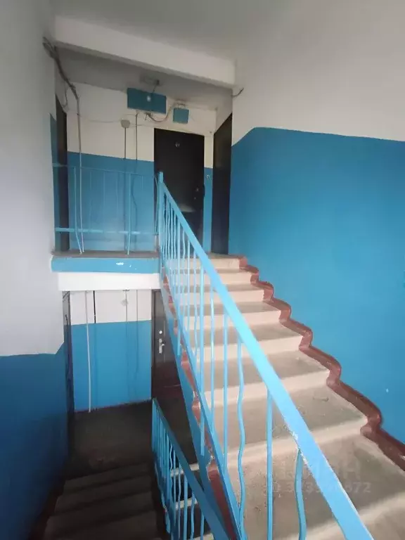 2-к кв. Новгородская область, Новгородский район, Трубичинское с/пос, ... - Фото 2