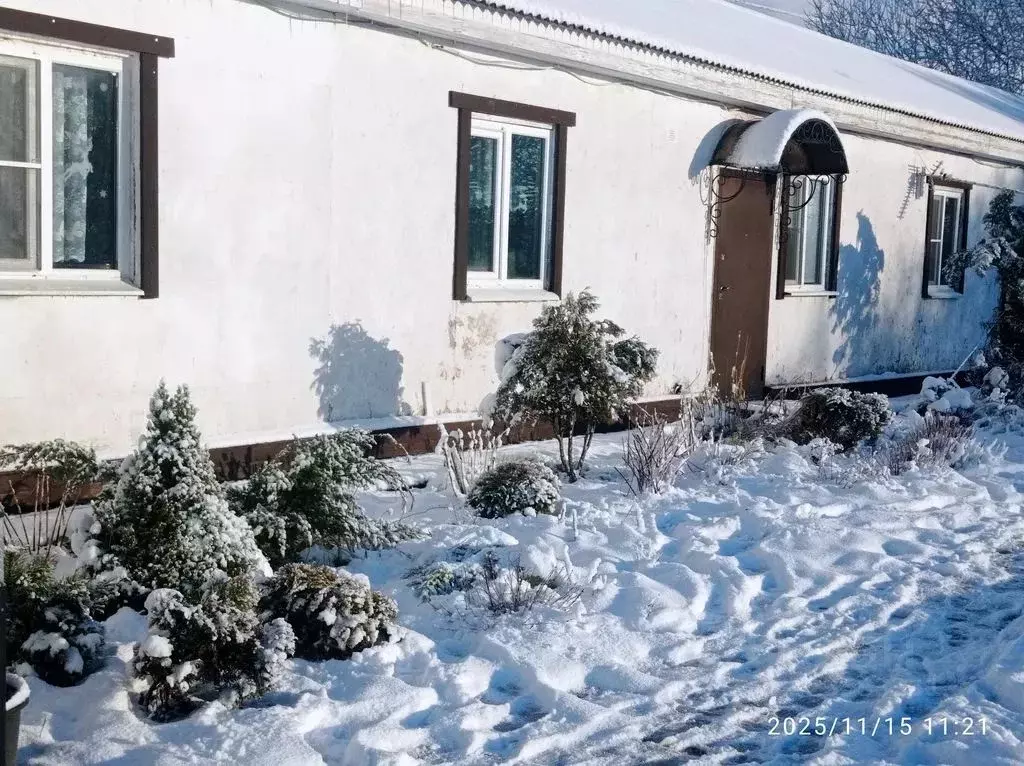 2-к кв. Ленинградская область, Волосовский район, Бегуницкое с/пос, д. ... - Фото 1