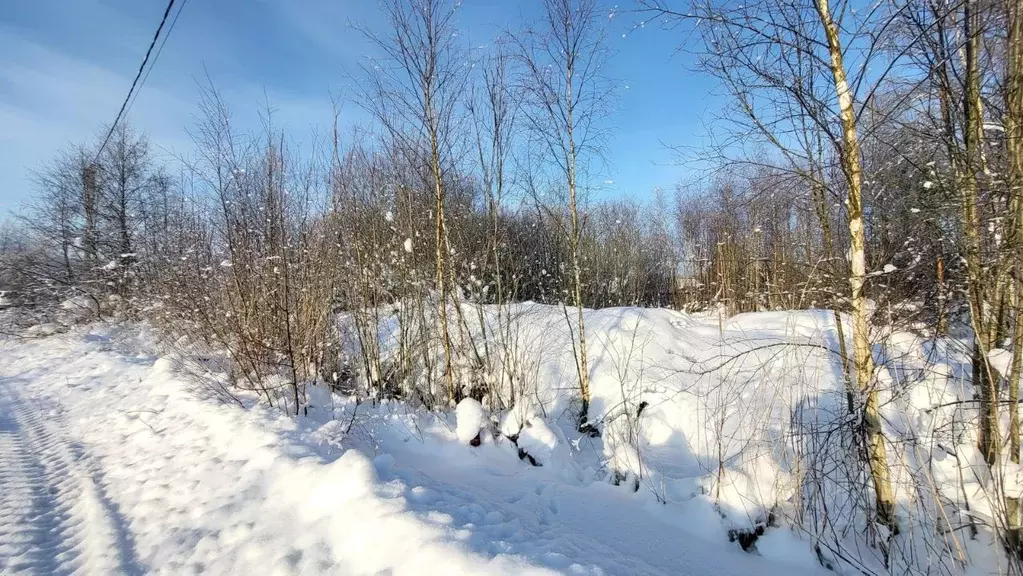 Участок в Ленинградская область, Кировский район, Приладожское ... - Фото 1