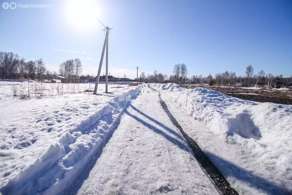 Участок в Первомайский район, СТ Моторостроитель-2, 16 (8 м) - Фото 2