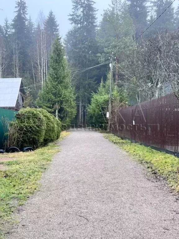 Дом в Ленинградская область, Выборгский район, Рощинское городское ... - Фото 2