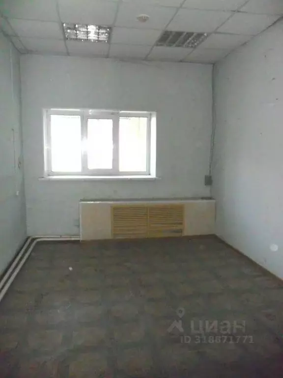Помещение свободного назначения в Челябинская область, Трехгорный ул. ... - Фото 1