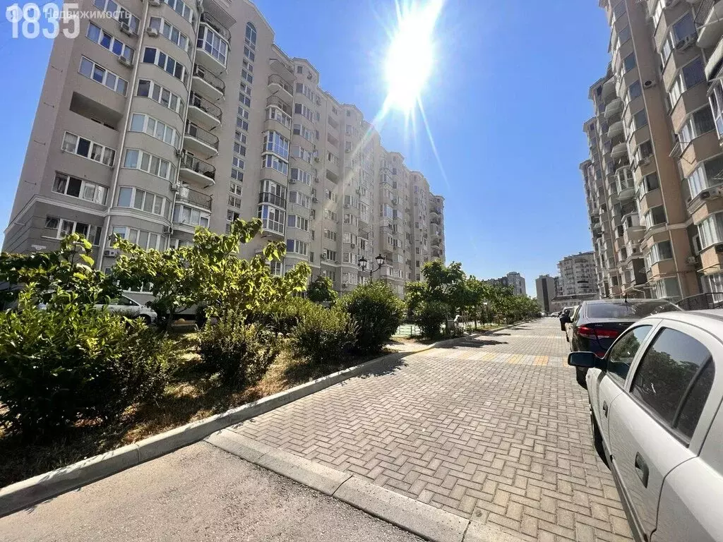 Помещение свободного назначения (43 м) - Фото 2