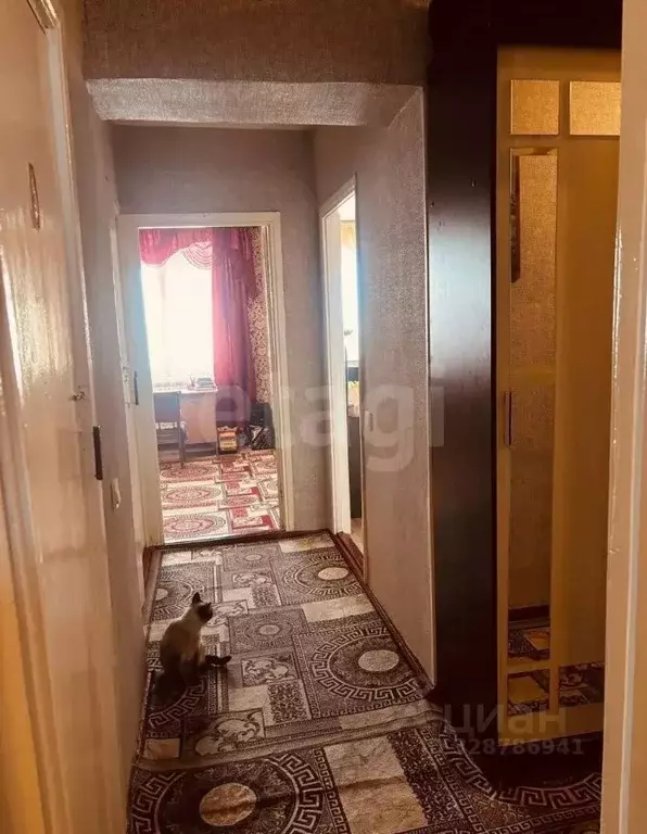 3-к кв. Курганская область, Притобольный муниципальный округ, с. ... - Фото 1