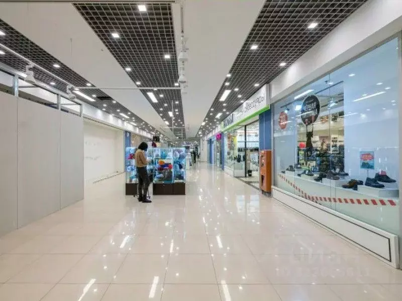 Торговая площадь в Санкт-Петербург просп. Малый Васильевского острова, ... - Фото 1