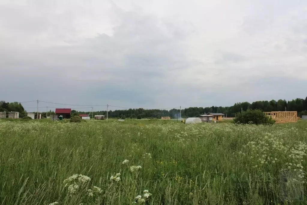 Участок в Ленинградская область, Тосненское городское поселение, д. ... - Фото 0