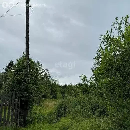 Участок в Горноуральский городской округ, посёлок Синегорский, ... - Фото 1