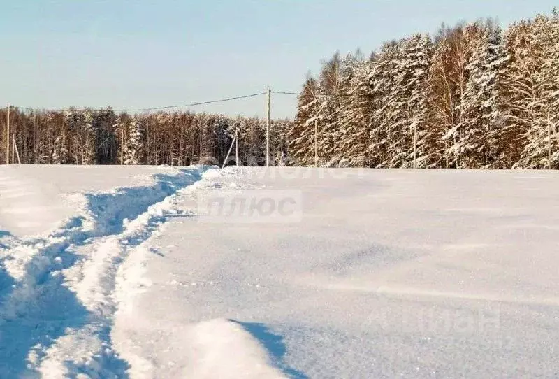 Участок в Московская область, Сергиево-Посадский городской округ, ... - Фото 1