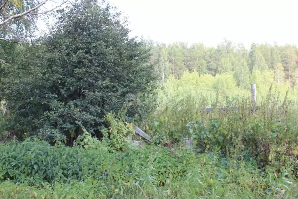 участок в свердловская область, горноуральский городской округ, с. . - Фото 1