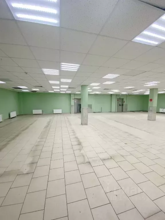 Торговая площадь в Псковская область, Псков Рижский просп, 61 (419.7 . - Фото 1