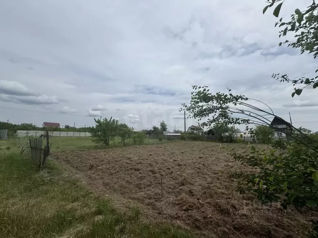 Участок в Брянская область, Брянский район, Новодарковичское с/пос, ... - Фото 2