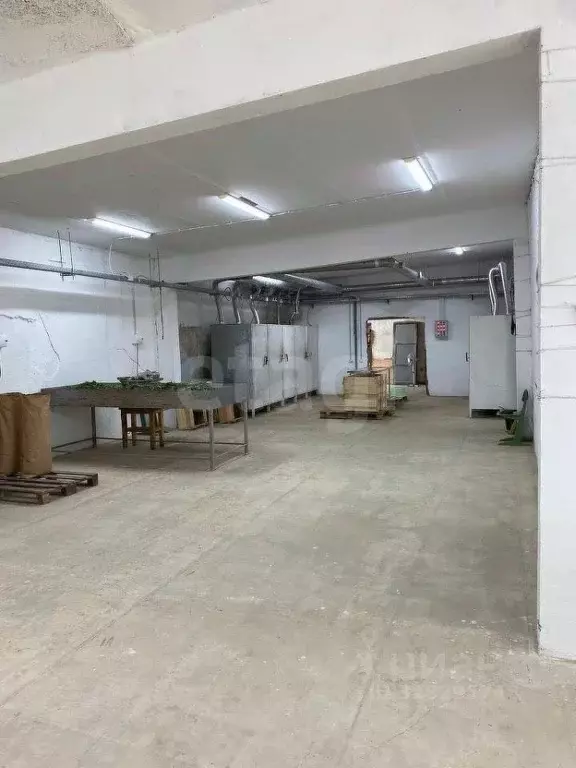 Помещение свободного назначения в Ярославская область, Борисоглебский ... - Фото 1