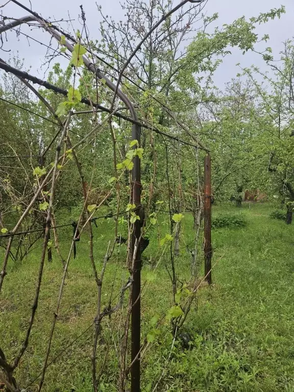 Участок в Ростовская область, Новочеркасск Земляничный пер., 9 (7.0 ... - Фото 2