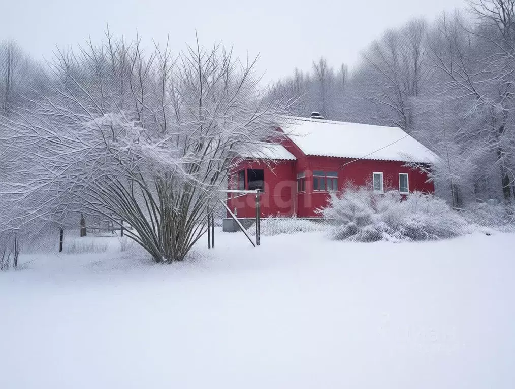 Дом в Тульская область, Алексин городской округ, с. Изволь 1 (20 м) - Фото 2