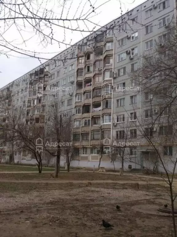 3-комнатная квартира: Волгоград, район Семь Ветров, улица Константина ... - Фото 1