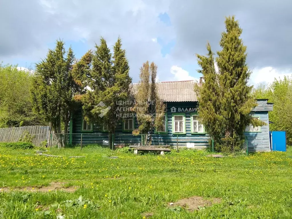 Дом в Рязанская область, Касимовский муниципальный округ, с. Данево 55 ... - Фото 1