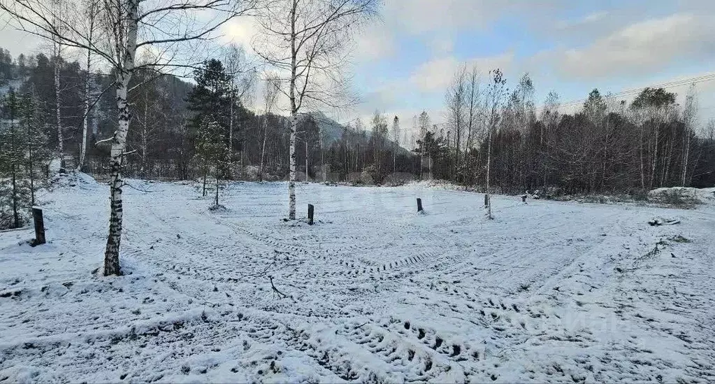 Участок в Алтай, Майминский район, Соузгинское с/пос, пос. Черемшанка  ... - Фото 1