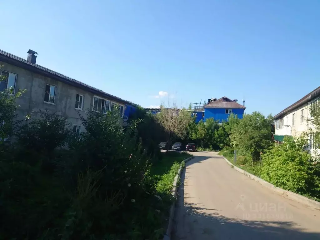 4-к кв. Московская область, Богородский городской округ, д. Большое ... - Фото 2