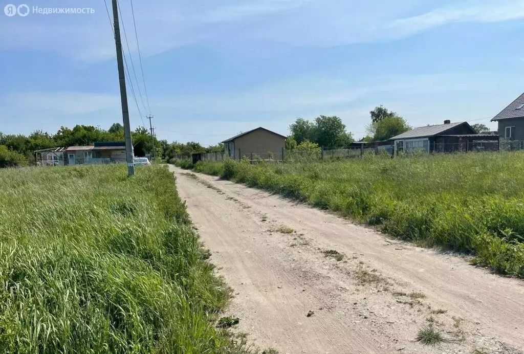 Участок в Зеленоградск, посёлок Сосновка (6 м) - Фото 0
