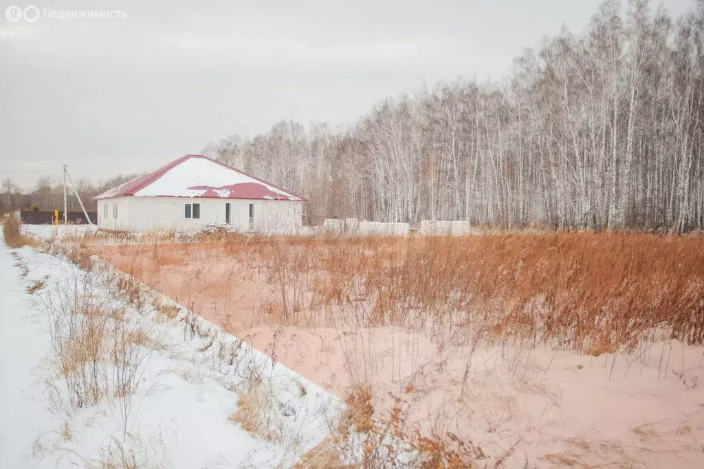 Участок в Тюменский район, деревня Решетникова (11.82 м) - Фото 0