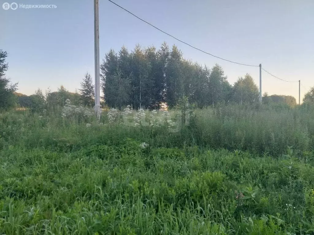 Участок в Ребровка, 2-я Безмятежная улица (10 м) - Фото 1