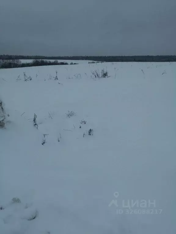 Участок в Московская область, Сергиево-Посадский городской округ, с. ... - Фото 1