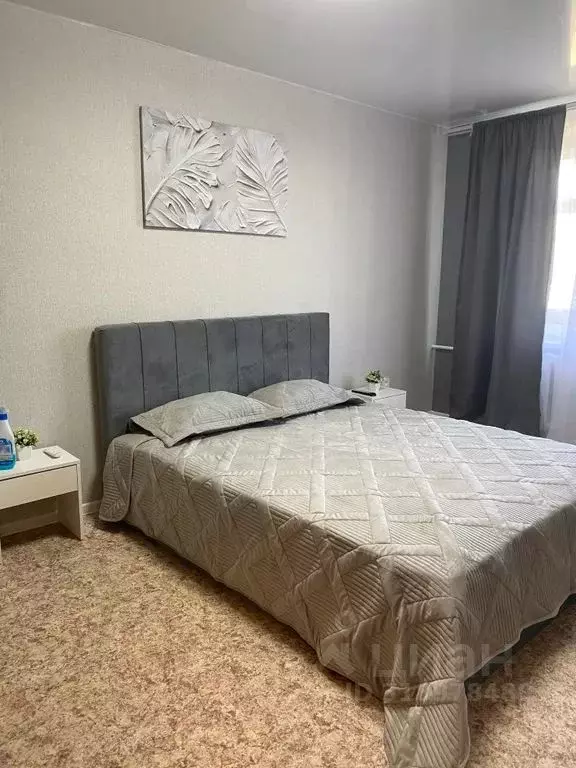 1-к кв. Ленинградская область, Волхов Молодежная ул., 23А (31.0 м) - Фото 0