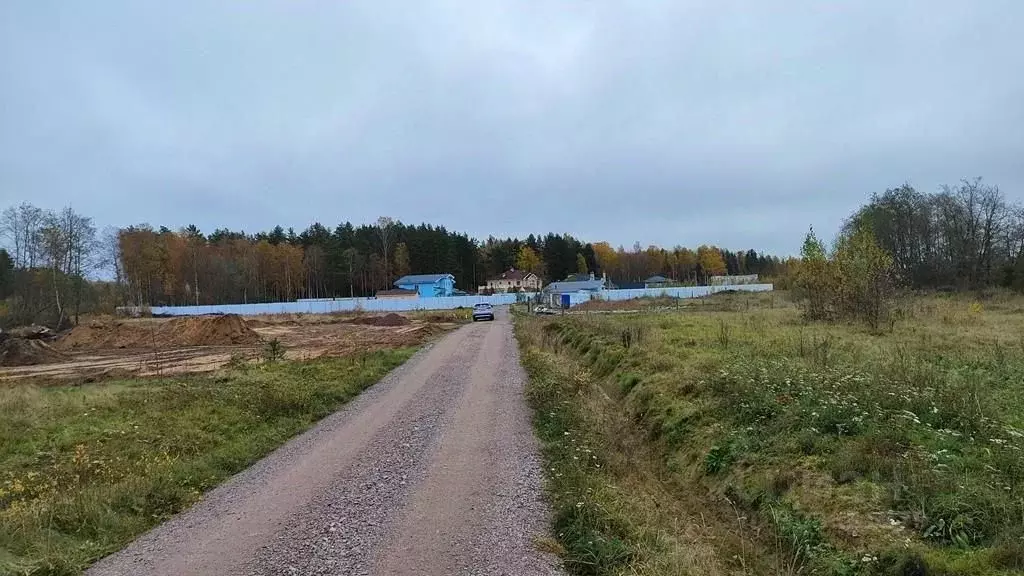 Участок в Ленинградская область, Всеволожский район, Дубровское ... - Фото 1