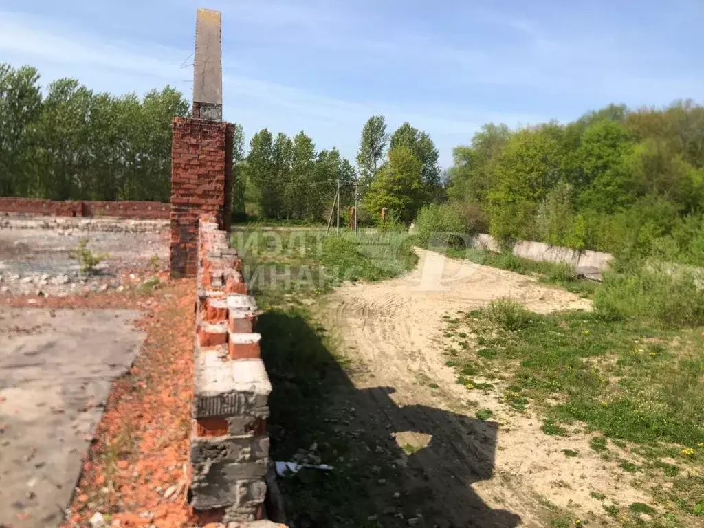 Участок в Калининградская область, Багратионовск ул. Дружбы, 41 (143.0 ... - Фото 1