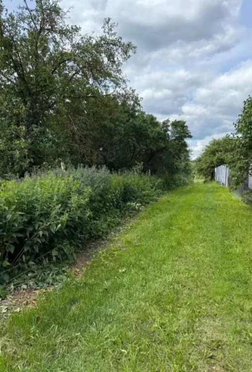 Участок в Владимирская область, Суздальский район, Новоалександровское ... - Фото 1