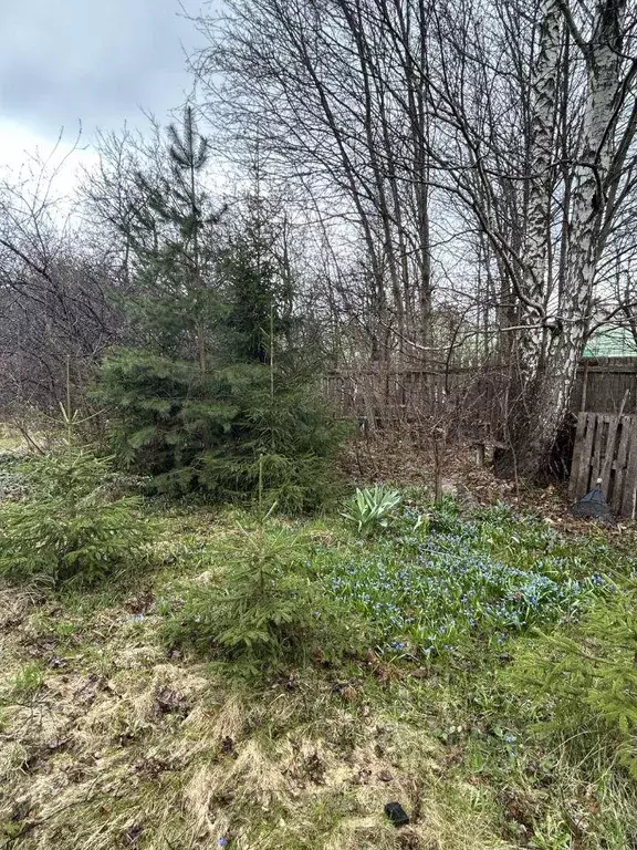 Участок, 7 сот., поселения (ижс) - Фото 1