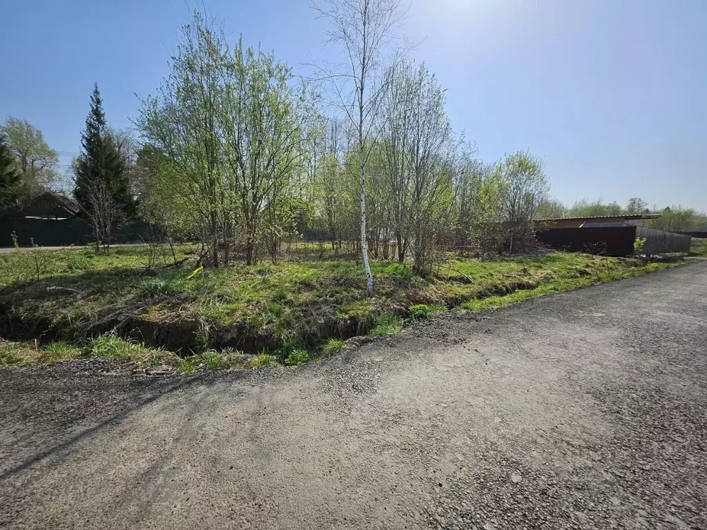 Участок в Московская область, Дмитровский муниципальный округ, пос. ... - Фото 2
