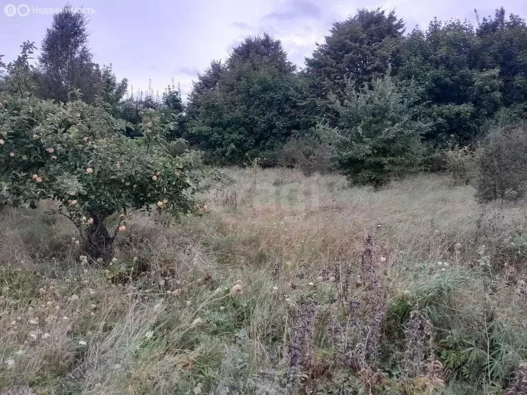 Участок в Калининградская область, Гурьевский муниципальный округ, ... - Фото 1