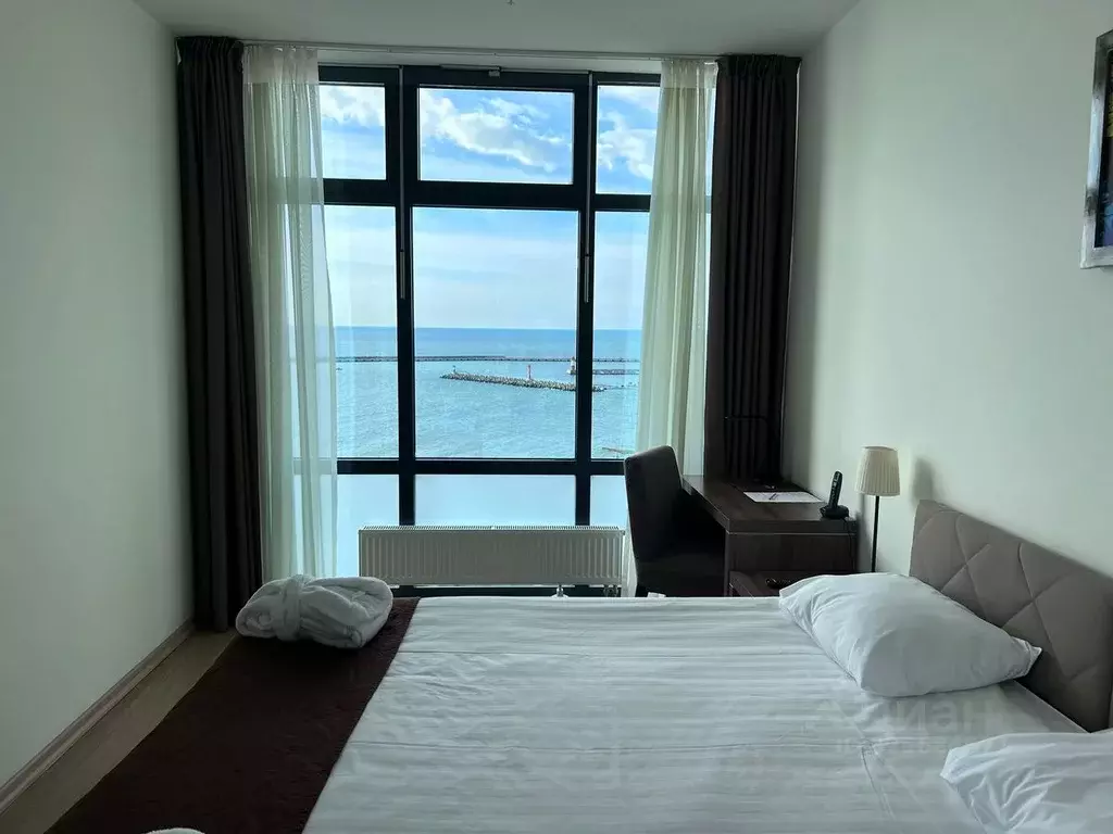 1-к кв. Краснодарский край, Сочи Центральный мкр, ул. Орджоникидзе, ... - Фото 2