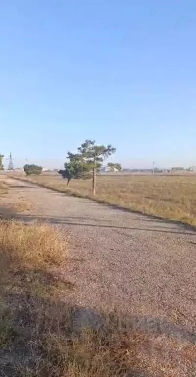 Участок в Крым, Сакский район, с. Суворовское  (6.0 сот.) - Фото 2